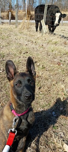 20250306_144756_resized