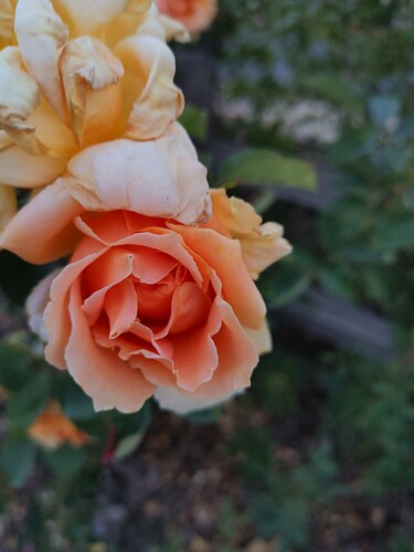 0804212013_HDR