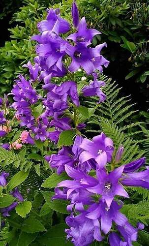 FB_IMG_1654013037395