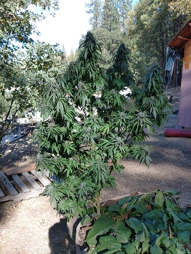 KIMG0171