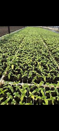 Screenshot_20250603_112735_Gallery