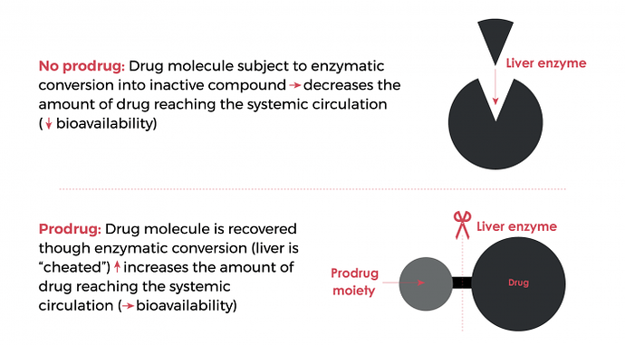MCN2-NNE00001-25942-image-prodrug-mk-002-696x385 (1)