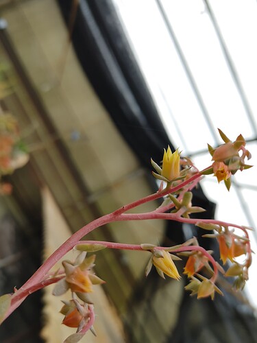 1005211350a_HDR