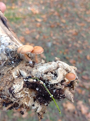 KIMG0232_02_BURST1000232