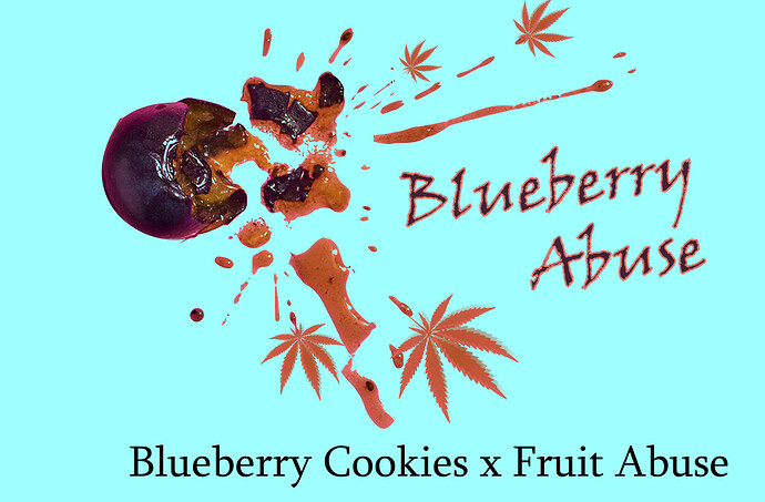 Blueberry Abuse