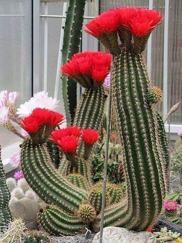FB_IMG_1653997937424