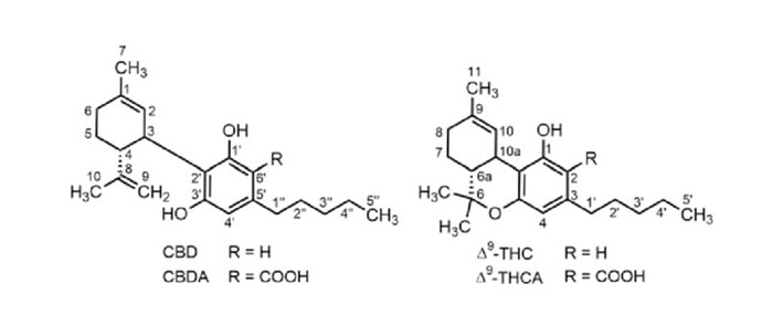 Dibenzopyran Numbering System on CBD and THC