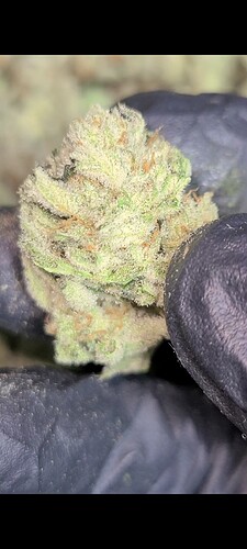 Screenshot_20210428-084457_Video Player