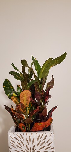 20211012_221731