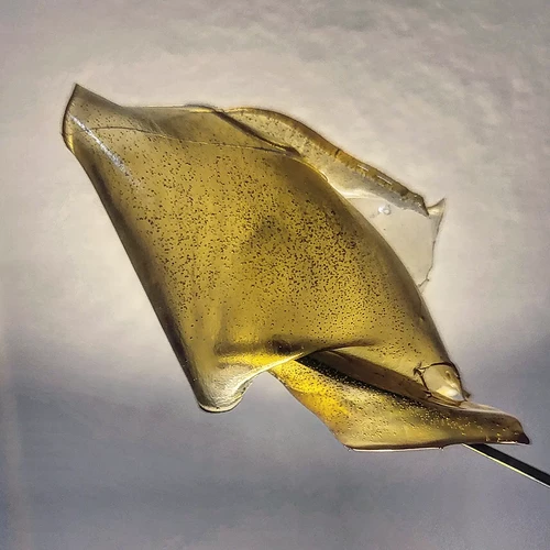 IMG_20220409_134937_972