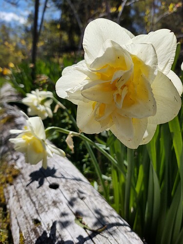 IMG_20210511_112551698_HDR