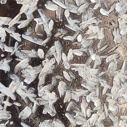 IMG_20230203_195557_171