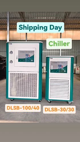 IMG_20250306_093456_419