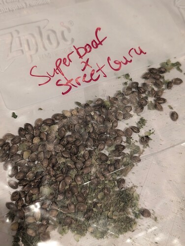 PXL_20250914_231958623.MP~2