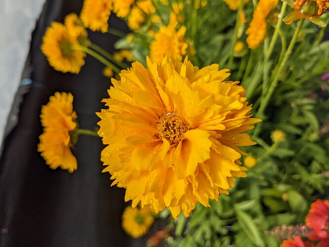 PXL_20210531_132057308