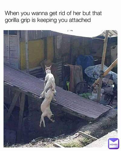 FB_IMG_1699639574989