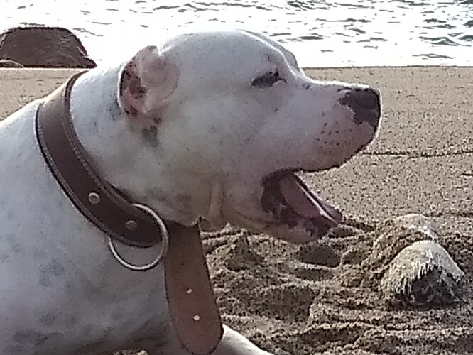 IMG_20200119_172724449_BURST001