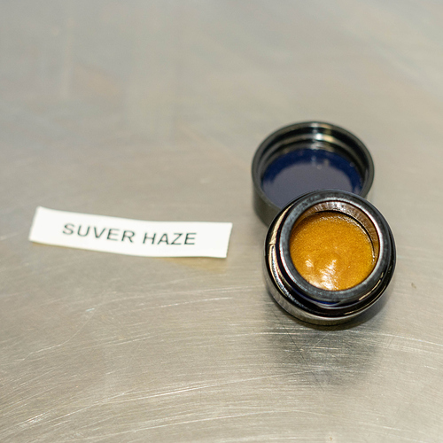 LiveResin - Suver Haze