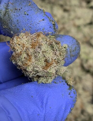 Screenshot_20210428-083955_Video Player