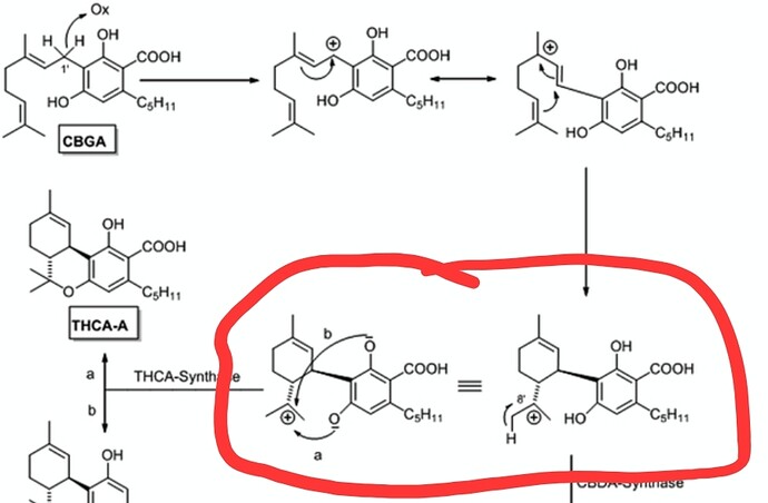 Screenshot_20230825_110346_Gallery