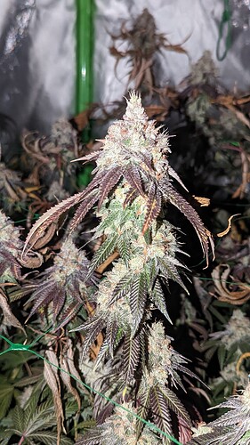 PXL_20221004_203641963