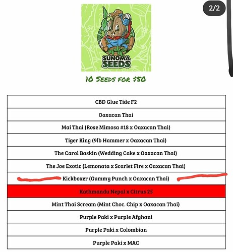 Screenshot_20210111-171927_Instagram