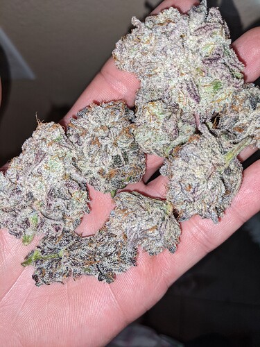 PXL_20210531_014644607