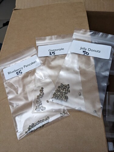 PXL_20221225_005809529