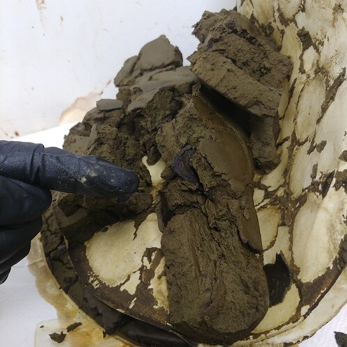 IMG_20201116_123606_105