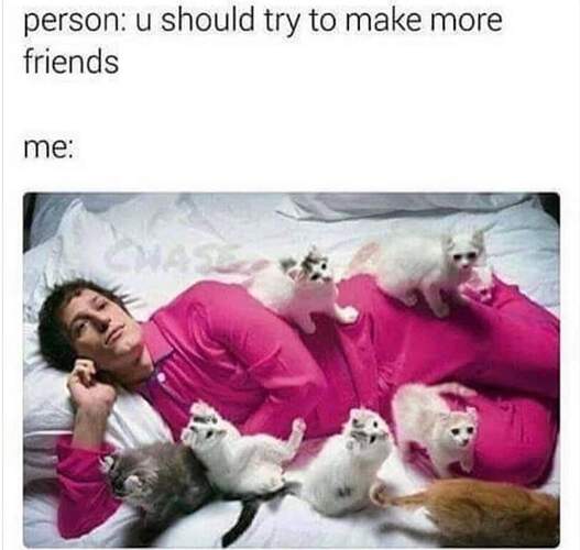 FB_IMG_1691723076866