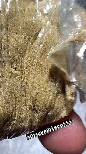 IMG_20230528_042757_446