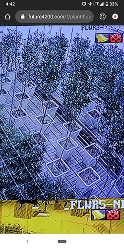 Screenshot_20210129-164217