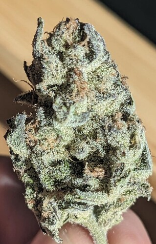 gmo og