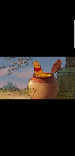Screenshot_20200201-214647_Gallery