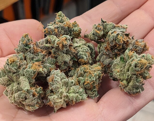 PXL_20221225_143819091~2