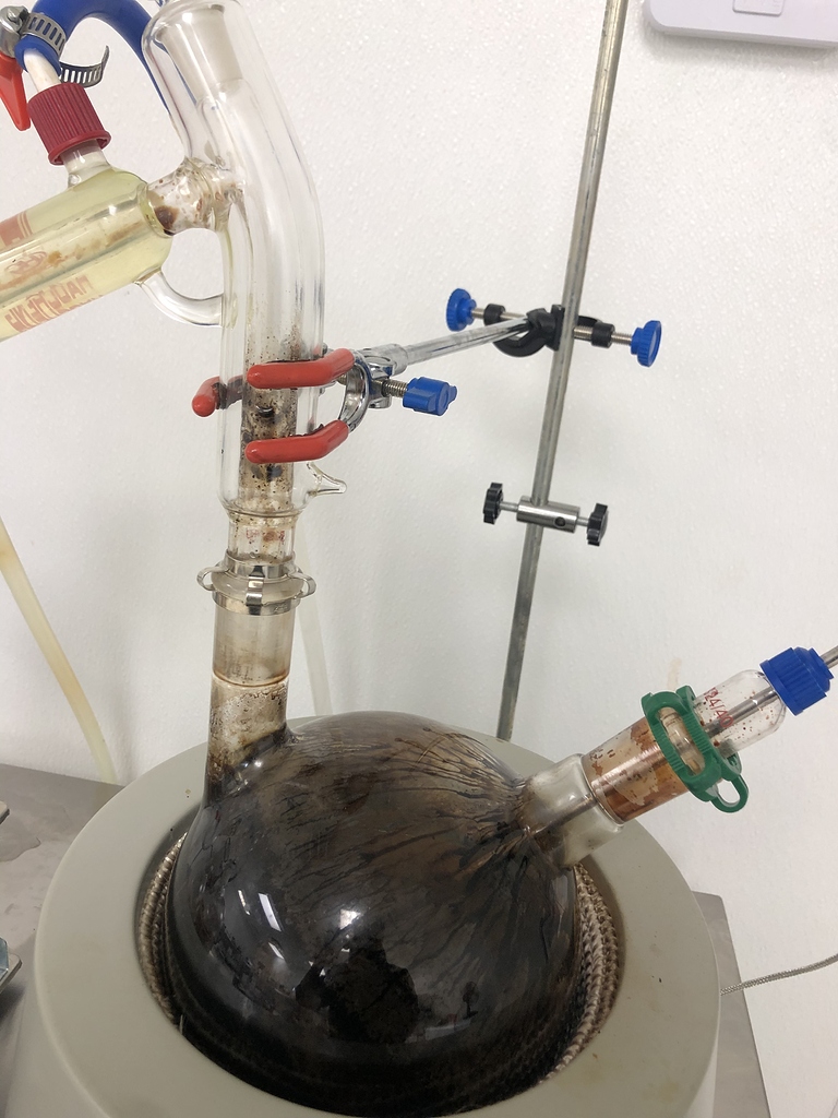 Possible and best ways to clean this? Distillation Future4200