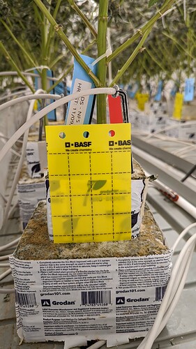 PXL_20221027_182841436