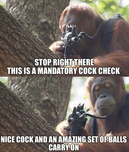 e3b287f6219e474f42f1d19a44c4b69410d554861e3708aec0b4c16a1f9cfd35