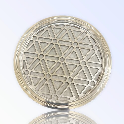 sintered disc back pic