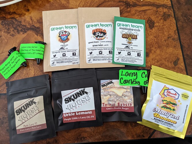 PXL_20210519_215501262