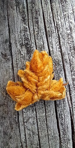 20220903_185913_resized