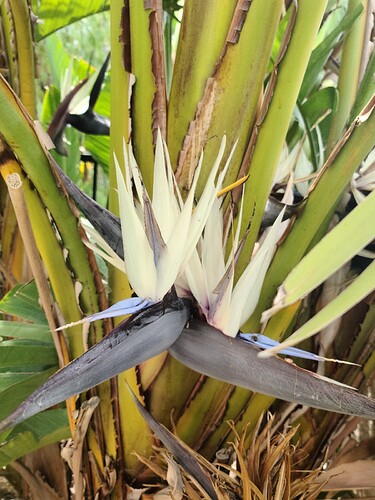 20210525_135334_copy_1200x1600