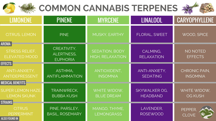 terp-chart