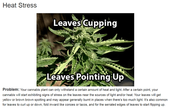 light stress