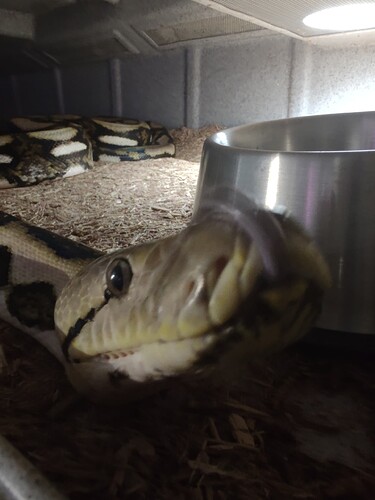 IMG_20220904_111947365