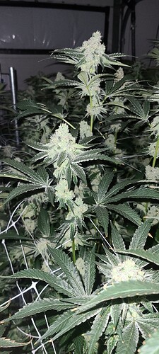 20220120_203100