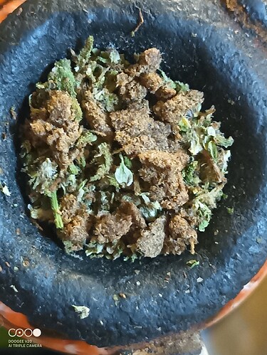 IMG_20220921_113238_297