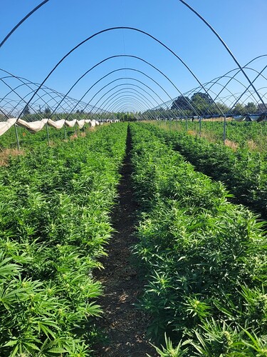 signal-2025-07-18-09-02-03-478