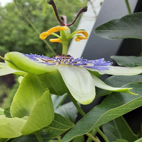 16224058964277705280159614885948