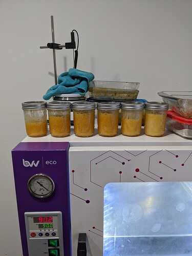 PXL_20220616_025047961